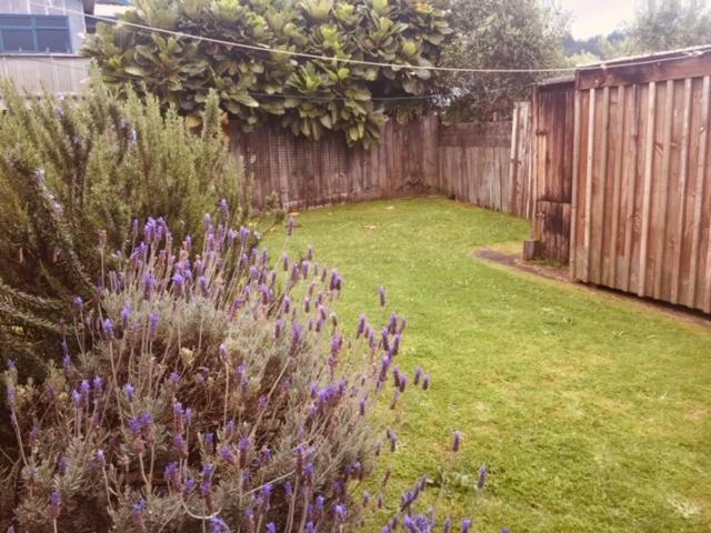 Mollies Place - Waihi Beach Holiday Unit Εξωτερικό φωτογραφία